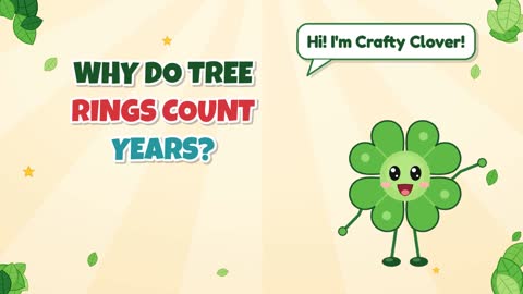 Tree Rings! Why Do Rings Count Years?