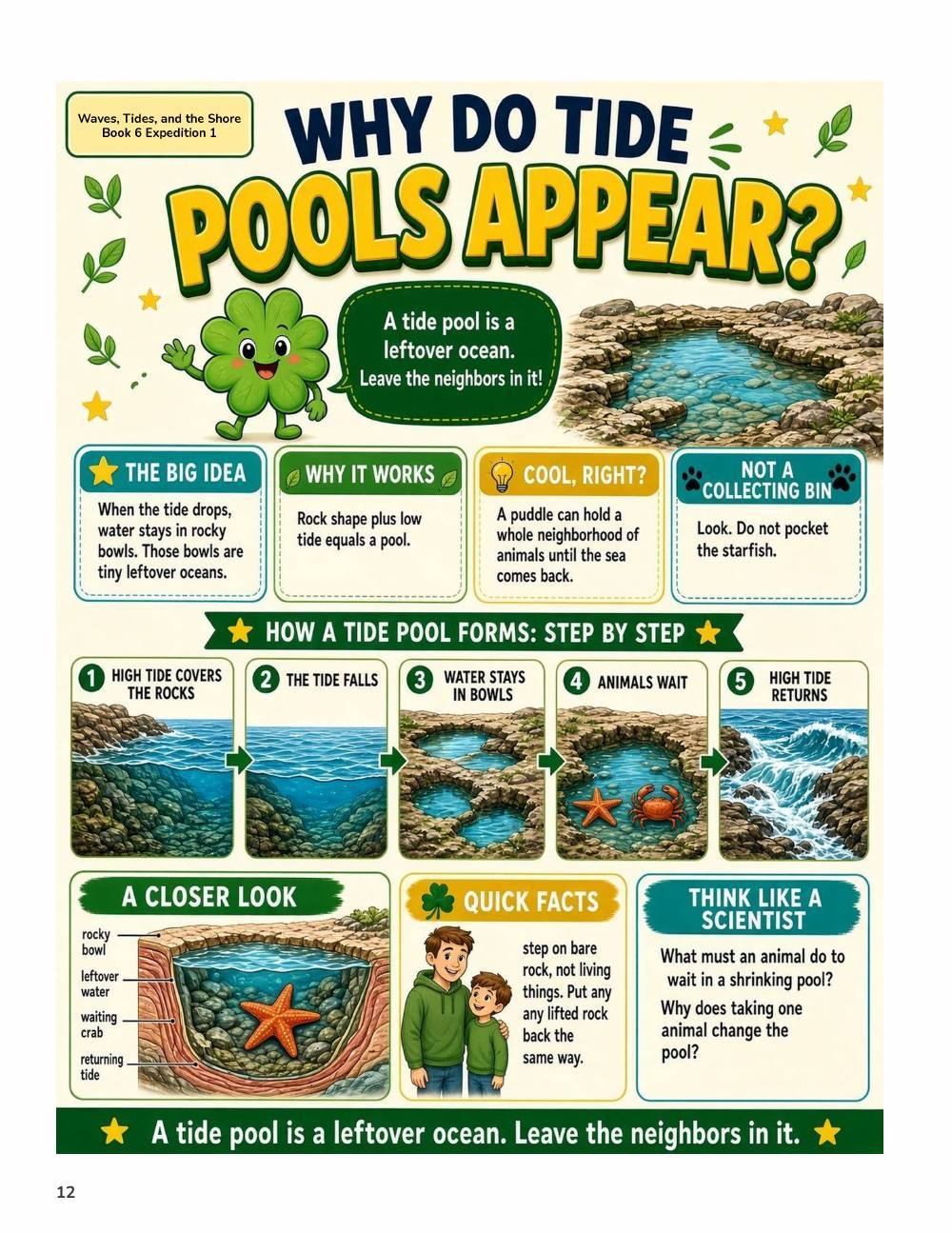 Illustrated page from A Million Whys Book 6 titled Why Do Tide Pools Appear, with Crafty Clover.