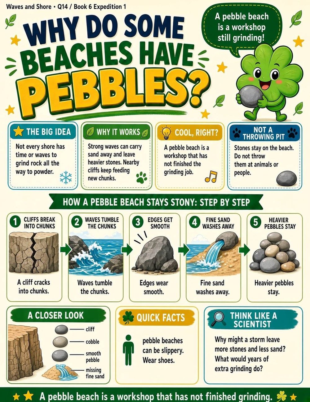 Illustrated page from A Million Whys Book 6 titled Why Do Some Beaches Have Pebbles, with Crafty Clover.