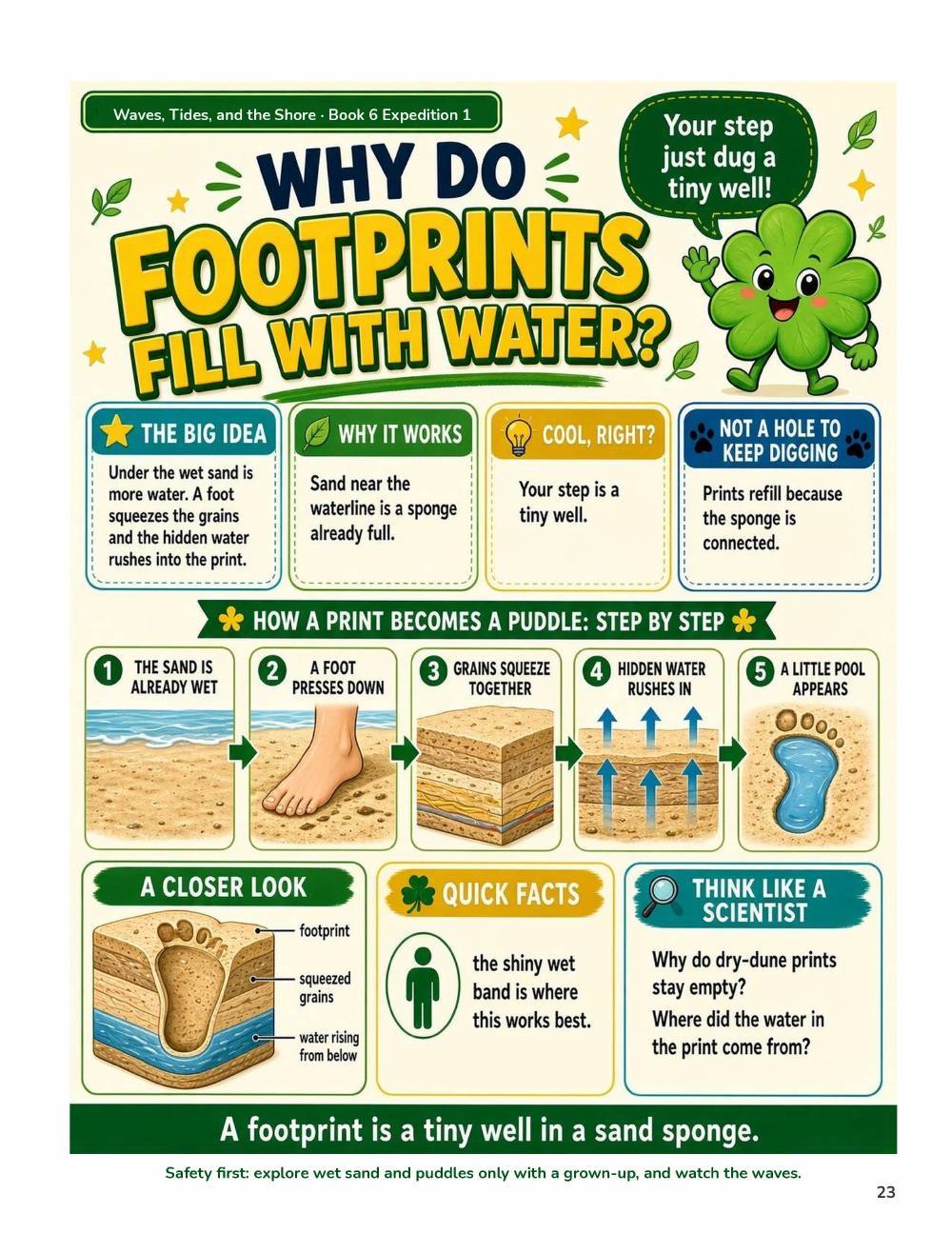 Illustrated page from A Million Whys Book 6 titled Why Do Footprints Fill with Water, with Crafty Clover.