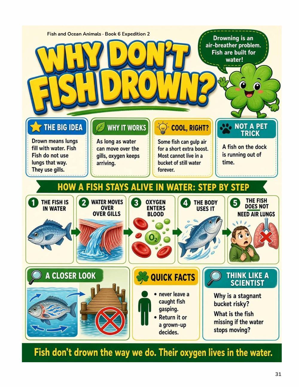 Illustrated page from A Million Whys Book 6 titled Why Don't Fish Drown, with Crafty Clover.