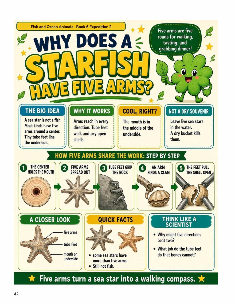 Illustrated page from A Million Whys Book 6 titled Why Does a Starfish Have Five Arms, with Crafty Clover.