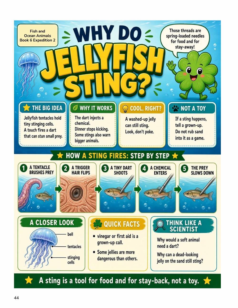 Illustrated page from A Million Whys Book 6 titled Why Do Jellyfish Sting, with Crafty Clover.