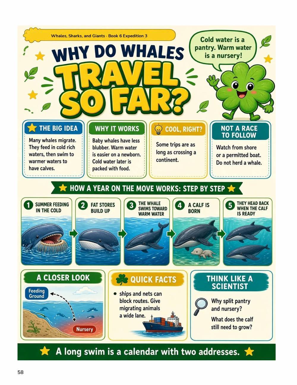 Illustrated page from A Million Whys Book 6 titled Why Do Whales Travel So Far, with Crafty Clover.