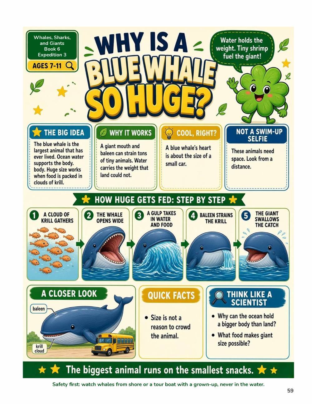 Illustrated page from A Million Whys Book 6 titled Why Is a Blue Whale So Huge, with Crafty Clover.