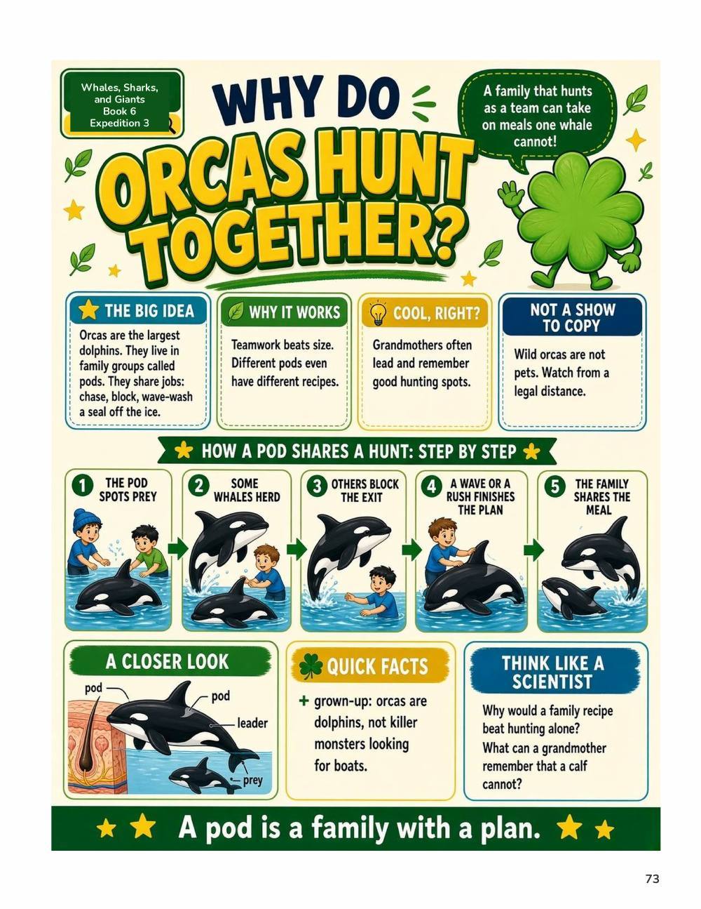 Illustrated page from A Million Whys Book 6 titled Why Do Orcas Hunt Together, with Crafty Clover.