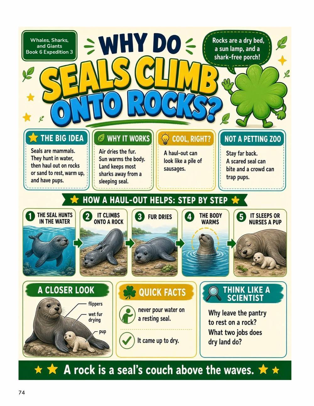 Illustrated page from A Million Whys Book 6 titled Why Do Seals Climb Onto Rocks, with Crafty Clover.