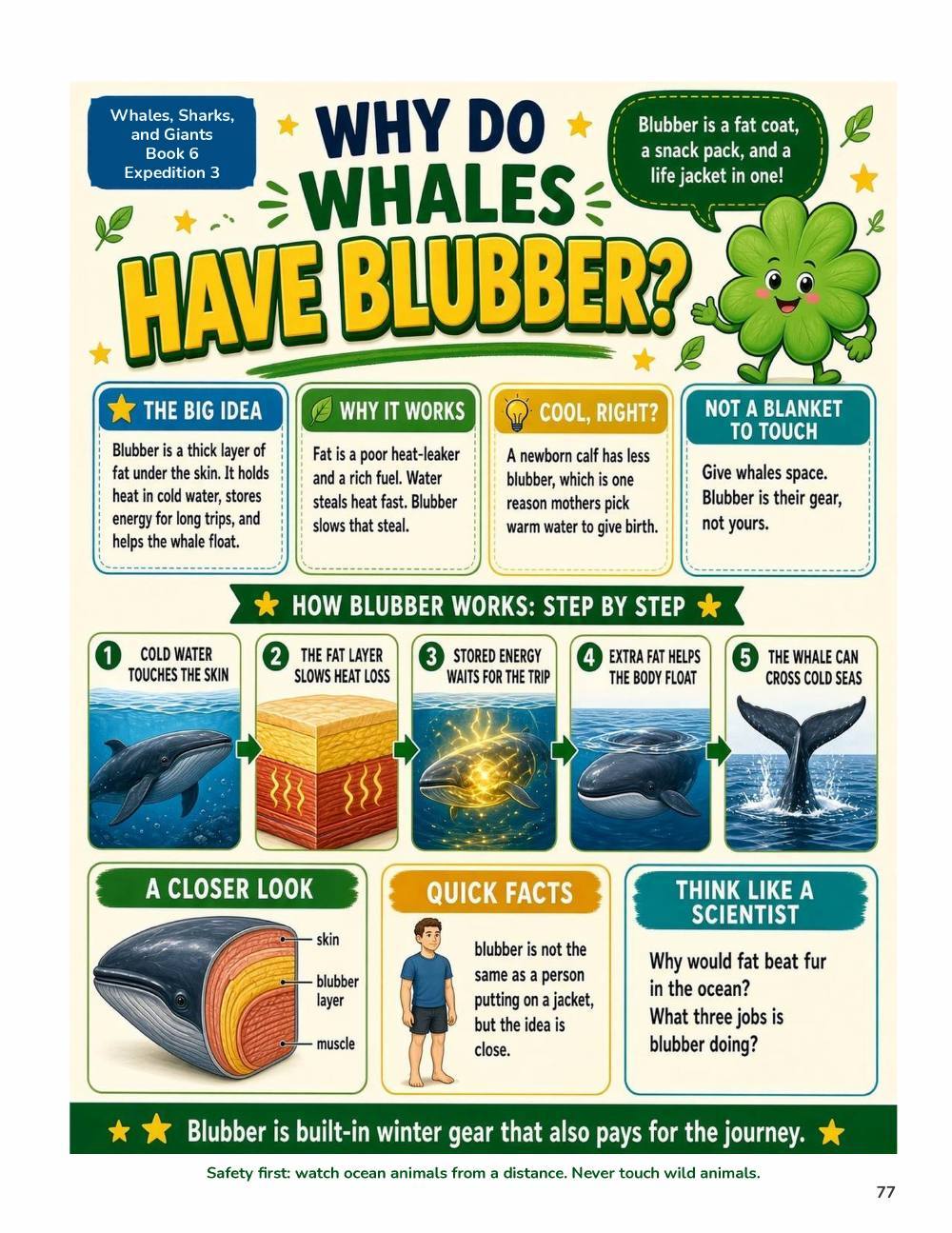 Illustrated page from A Million Whys Book 6 titled Why Do Whales Have Blubber, with Crafty Clover.