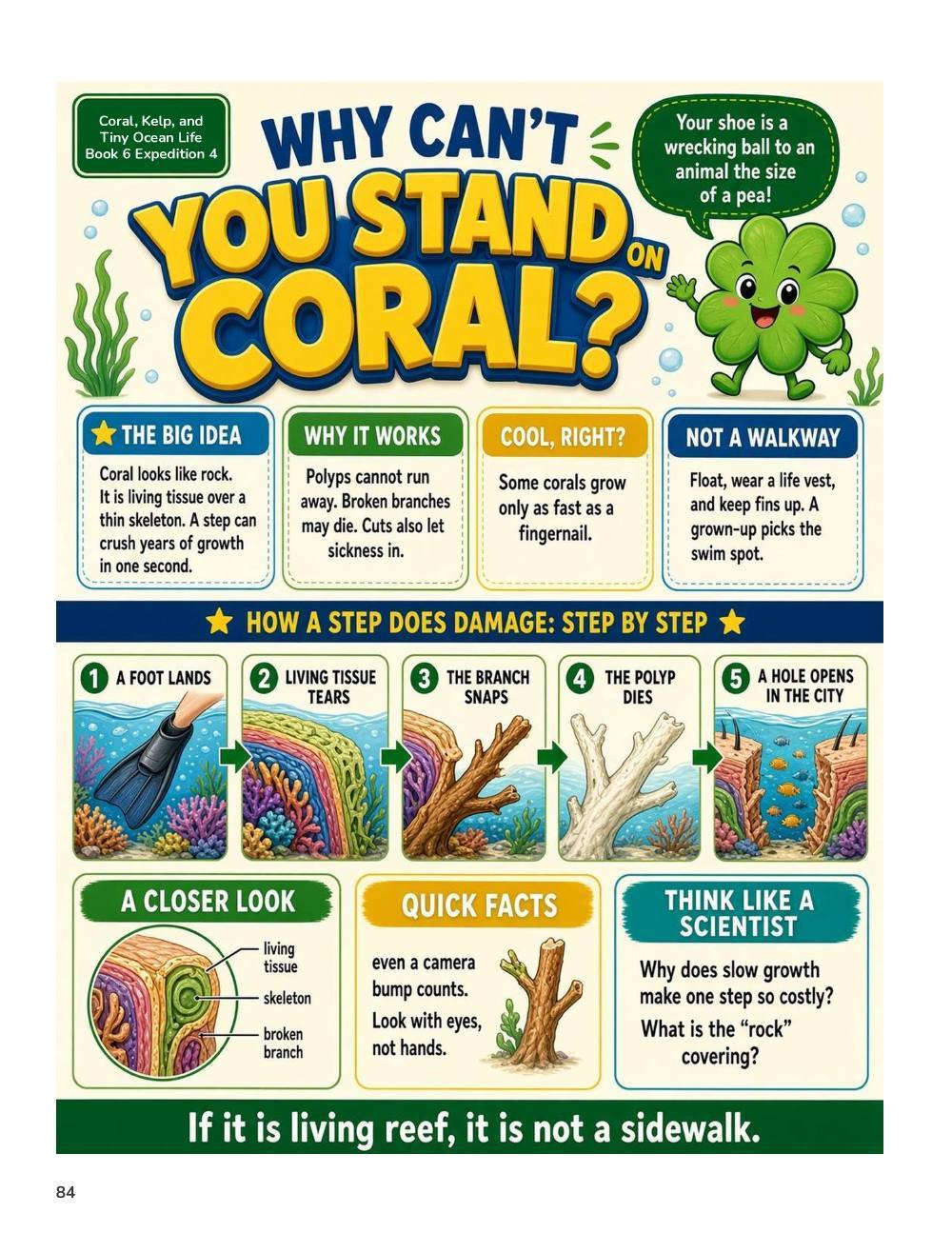 Illustrated page from A Million Whys Book 6 titled Why Can't You Stand on Coral, with Crafty Clover.