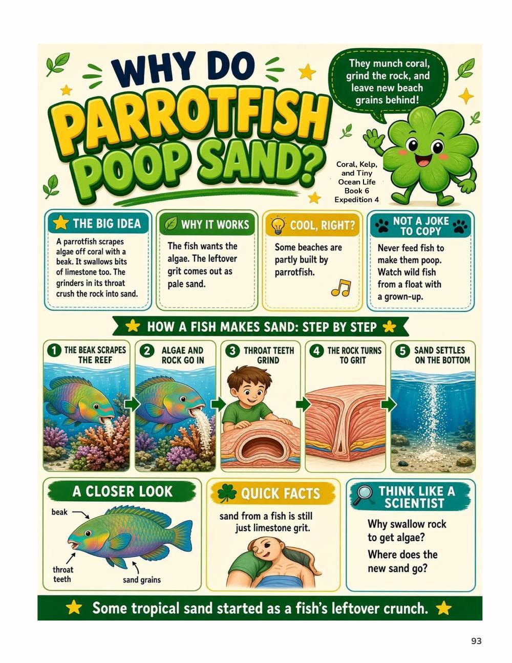 Illustrated page from A Million Whys Book 6 titled Why Do Parrotfish Poop Sand, with Crafty Clover.