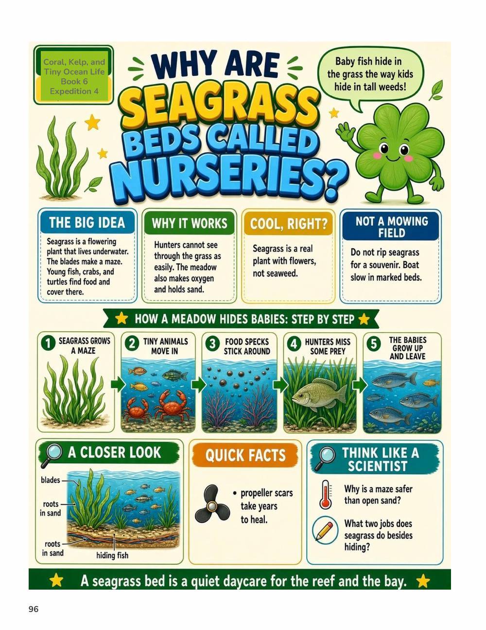 Illustrated page from A Million Whys Book 6 titled Why Are Seagrass Beds Called Nurseries, with Crafty Clover.