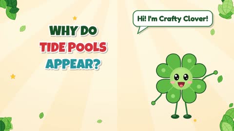 Why Do Tide Pools Appear?