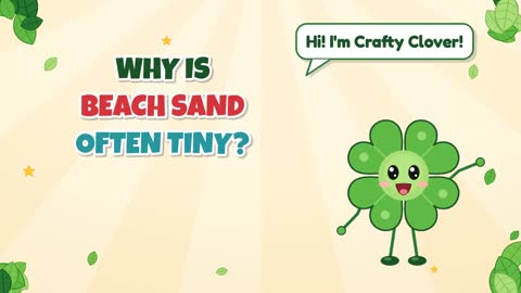 Why Is Beach Sand Often Tiny?