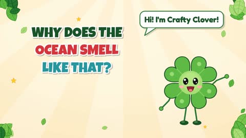 Why Does the Ocean Smell Like That?