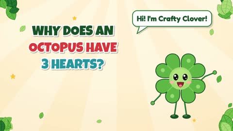 Why Does an Octopus Have Three Hearts?
