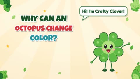 Why Can an Octopus Change Color?