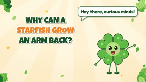 Why Can a Starfish Grow an Arm Back?