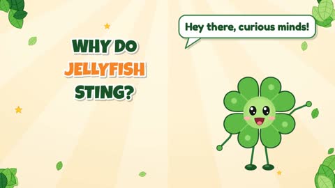 Why Do Jellyfish Sting?