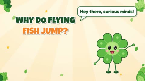 Why Do Flying Fish Jump?