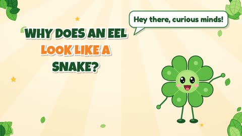 Why Does an Eel Look Like a Snake?