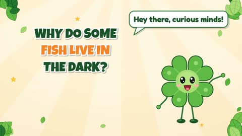 Why Do Some Fish Live in the Dark?