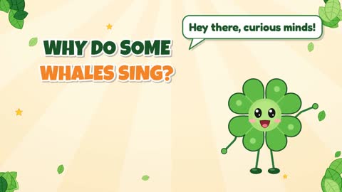 Why Do Some Whales Sing?