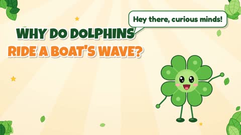 Why Do Dolphins Ride a Boat's Wave?