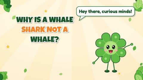 Why Is a Whale Shark Not a Whale?