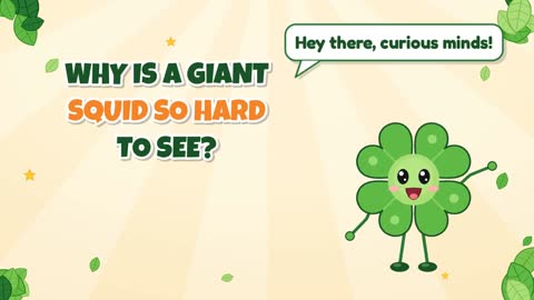 Why Is a Giant Squid So Hard to See?