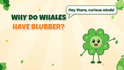 Why Do Whales Have Blubber?