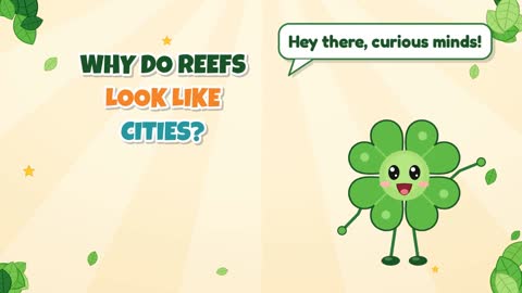 Why Do Reefs Look Like Cities?