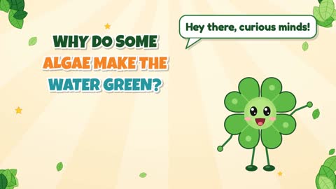 Why Do Some Algae Make the Water Green?