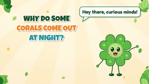 Why Do Some Corals Come Out at Night?