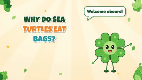 Why Do Sea Turtles Eat Bags?
