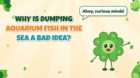 Why Is Dumping Aquarium Fish in the Sea a Bad Idea?