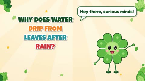 Why Does Water Drip From Leaves After Rain?