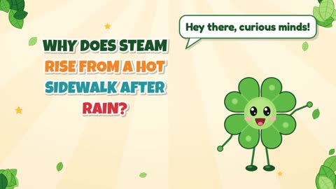 Why Does Steam Rise From a Hot Sidewalk After Rain?