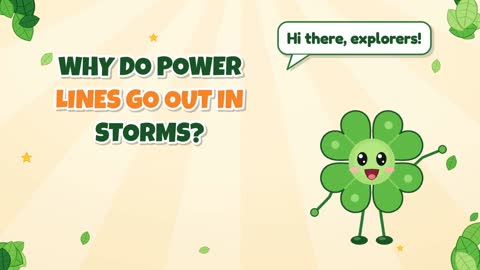 Why Do Power Lines Go Out in Storms?