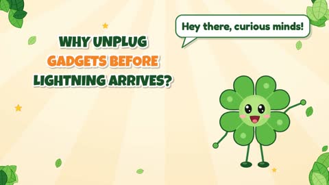 Why Unplug Gadgets Before Lightning Arrives?