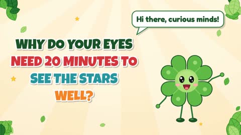 Why Do Your Eyes Need 20 Minutes to See the Stars Well?