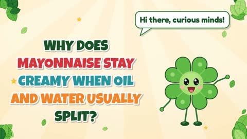 Why Does Mayonnaise Stay Creamy When Oil and Water Usually Split?