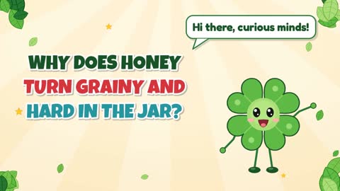 Why Does Honey Turn Grainy and Hard in the Jar?
