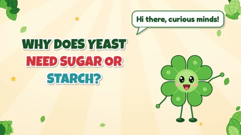 Why Does Yeast Need Sugar or Starch?