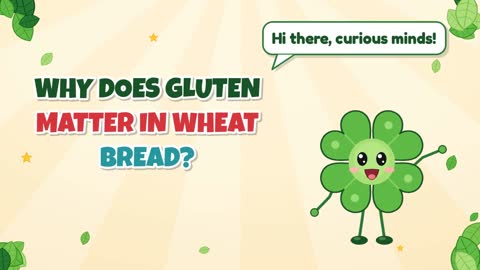 Why Does Gluten Matter in Wheat Bread?