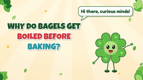 Why Do Bagels Get Boiled Before Baking?