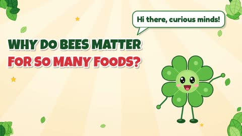 Why Do Bees Matter for So Many Foods?