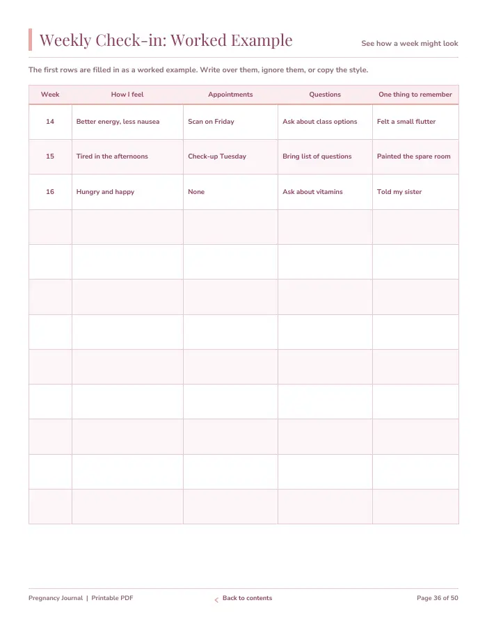 Inside page 3 of Pregnancy Journal